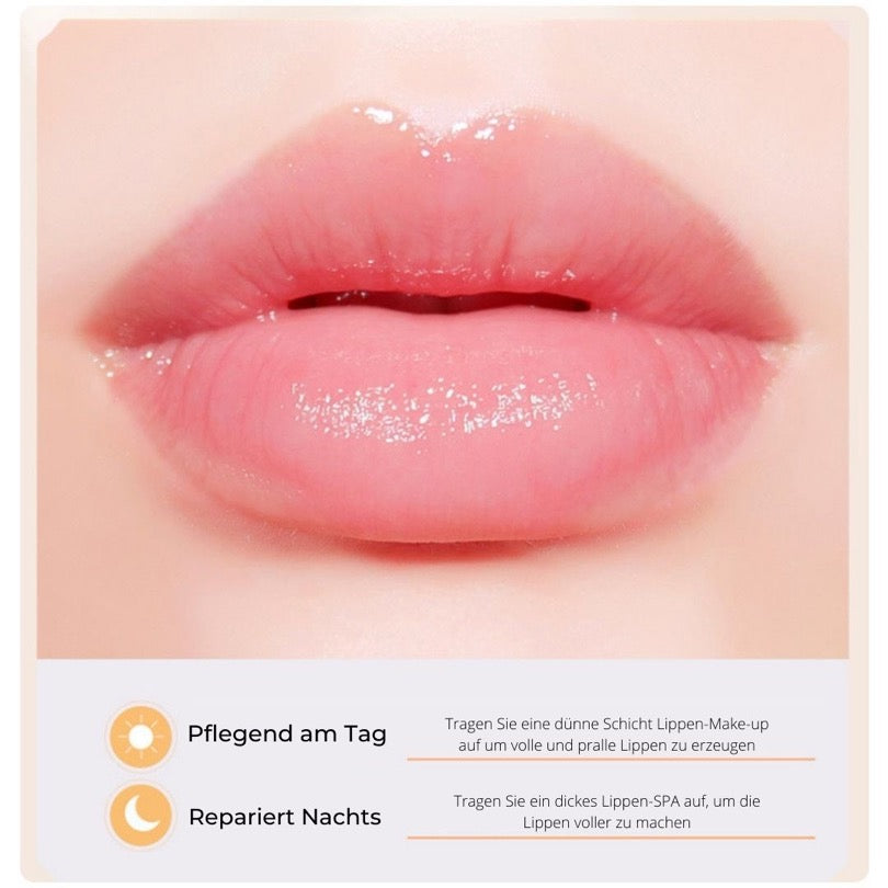 Bienenbalsam Honigtopf - Beautyclam Lip Balms