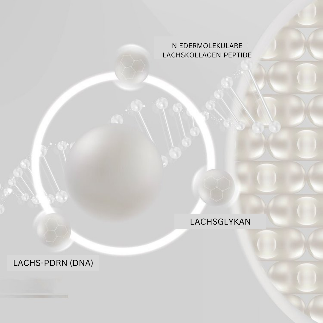 Wrinkle Multi Bounce Balm - Beautyclam